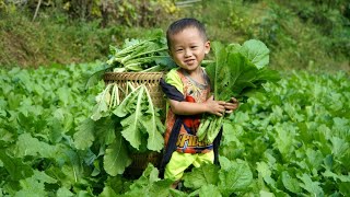 Single mother harvest green vegetables and bring them to the market to sell  preserve vegetables [upl. by Iddo58]