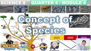 Concept of Species Science 8 Quarter 4 Module 4 Taxonomy Classification DomainsKingdomSpecies [upl. by Klug228]