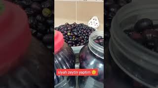 Siyah zeytin tuzunu suyunu koyun kapatın ☺️ [upl. by Ani]