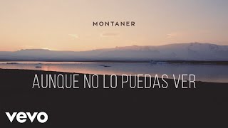 Ricardo Montaner  Aunque No Lo Puedas Ver [upl. by Darin]