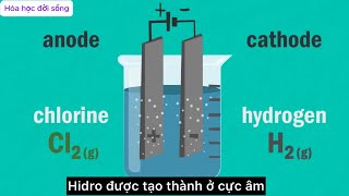 Điện phân muối NaCl1 [upl. by Donela]