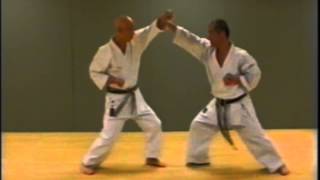 Sanbon Kumite High Block 3 [upl. by Agrippina736]