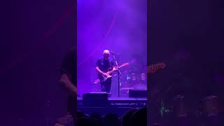 Marooned Live David Gilmour  Madison Square Garden NYC Nov9 2024  Luck and Strange Tour [upl. by Beaulieu129]