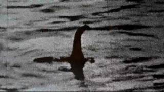 The Best Loch Ness Monster Video of 2011 and 2012  Steve Alten quotNessiequot Spotted Caught On Tape Live [upl. by Ahsinelg]