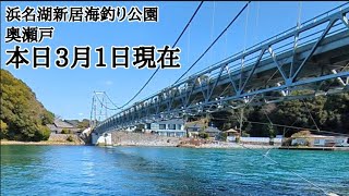 【浜名湖釣り場偵察】🎣最速新居海釣り公園、奥浜名湖釣果＆釣行状況🐟 [upl. by Bambi13]