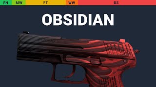 P2000 Obsidian  Skin Float And Wear Preview [upl. by Elsbeth]