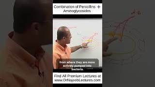 Combination Of Penicillins ➕️ Aminoglycosides shortvideo shorts drnajeeb drnajeeblectures [upl. by Trumaine]