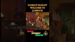 DAMIAN MARLEY  WELCOME TO JAMROCK [upl. by Irrek]