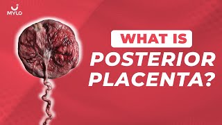 What Is Posterior Placenta Meaning In Hindi What Does Low Lying Posterior Placenta MeanMylo Family [upl. by Dang]