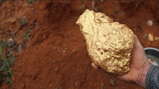 Australian gold prospectors use mining tools to unearth large gold nuggets worth millions [upl. by Idyh]