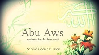 ᴴᴰ Schöne Geduld zu üben ┇ Abu Aws rezitiert aus dem edlen Quran 121518 [upl. by Jamel]