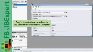 Tutorial 6 IBExpert Database Comparer [upl. by Nyladnor4]