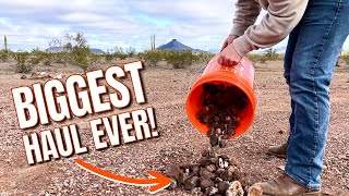 Arizona Rockhounding  Finding CRYSTALS amp AGATES in the desert [upl. by Ahtreb]