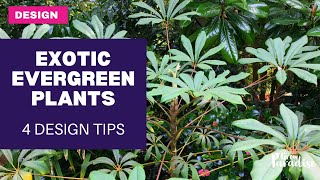 Adding EVERGREEN plants to your garden  4 design tips [upl. by Mack]