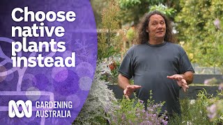 Try planting these native plants instead of weeds  Australian native plants  Gardening Australia [upl. by Rubel525]