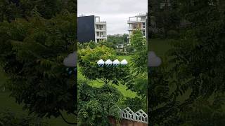 enjoying the view 🌧youtubeshorts shortvideo trending [upl. by Anirtal]