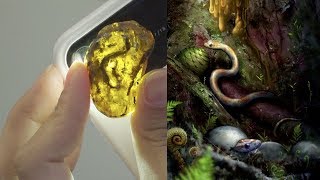 Xiaophis myanmarensis  the first fossilized snake preserved in amber [upl. by Rhea838]