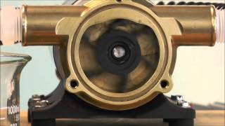 How a Jabsco Flexible Impeller Pump Works [upl. by Felix]