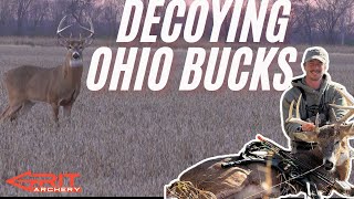 GRIT  HUNTING THE OHIO RUT DECOYING AND STALKING BIG BUCKS 4K [upl. by Aicsila]