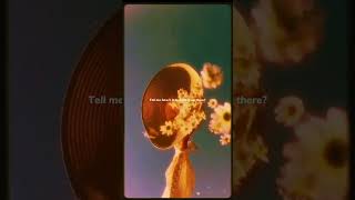 Without Me  Halsey  lyrics  aesthetic  Whatsapp Status  English songs  slowed  speed up 🥰🎶🌨️ [upl. by Nihsfa]