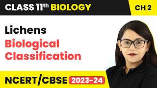 Lichens  Biological Classification  Class 11 Biology Chapter 2  NCERTCBSE [upl. by Lucian]