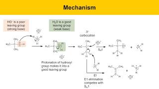 SN1 Reaction Experiment Synthesis of tertButyl Chloride Part 1 Prelab Lecture [upl. by Merceer241]