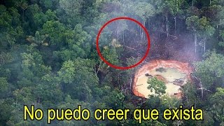 En esta Selva se Esconde el INSECTO más Extraño del Planeta Dicen que es EXTRATERRESTRE [upl. by Gram941]