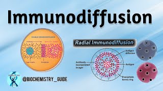 Immunodiffusion  Types Of Immunodiffusion  Single Radial And Double Immunodiffusion [upl. by Ymled918]