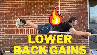 Reverse Hyperextensions  The BEST Lower Back Exercise You Arent Doing [upl. by Akirea]