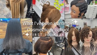 What Ive learned in Cosmetology School in the first 10 Weeks  Paul Mitchell Atlanta Core [upl. by Shaylah]