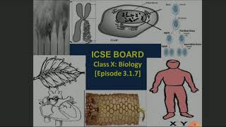 ICSE Class X Biology The Circulatory System Episode 317 [upl. by Nylorahs]