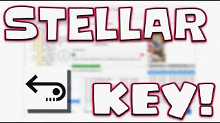 How to INSTALL Stellar Data Recovery 11007 Activation Key 2024 [upl. by Feune]