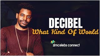 Decibel  What Kind Of World Official Audio [upl. by Leahcim]