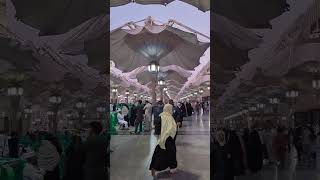 Masjid Nabwi Beautiful Moments viral trending motivation youtubeshorts youtube [upl. by Ahsyekal]