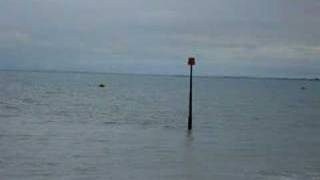 Dave The Dolphin in Sandgate near Folkestone Kent [upl. by Hendon293]