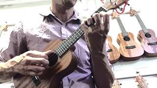 Aquila Nylgut vs Martin M600  Ukulele String Sound Comparison  On Concert Ukulele Scale [upl. by Candis]