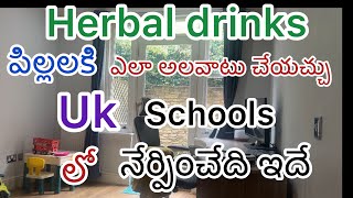 Toddler Herbal Drinks for Immunityschool system in ukkids biryanisree telugu vlogs [upl. by Tessil869]