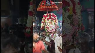 yellailla Amandavalle mariya mariamman songs Amman video  thirunangai nadanam Meramanai thalattu [upl. by Grefer838]