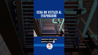 Cómo Funciona el Evaporador de un Aire Acondicionado [upl. by Samuella]