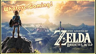 LP The Legend of Zelda Breath of the Wild pt 11 Wii U [upl. by Junius400]