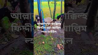 দোয়া  waz  islamicvideo [upl. by Ynohta886]