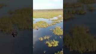 Flying above Lake Okeechobee  2023 Bassmaster Elite Series [upl. by Seve]