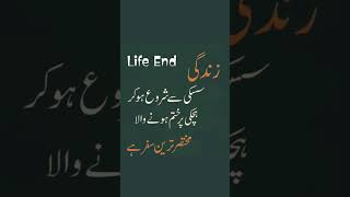 Start life end lifequotes [upl. by Yewed]