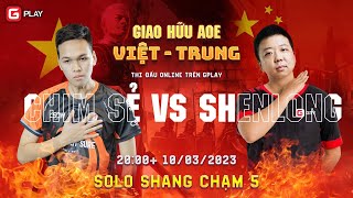 Solo Shang  SHENLONG vs CHIM SẺ ĐI NẮNG  10032023 [upl. by Eralc]