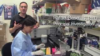 Genome Modification Provides Hope for Gene Therapy  Rafael Casellas NIH Scientist [upl. by Trela]