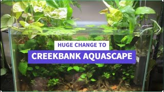 Huge Changes to Creekbank Aquascape its now a Riparium aquarium fish aquascape [upl. by Nyrhtak]