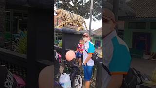 Vlog liburan agra lihat macan di komado militer 😱Part 1898 sibocil [upl. by Cointon]