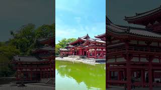 Byodoin Temple kyoto dulich [upl. by Yeorgi]