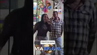 VOCE NAO VALE NADA Calcinha Preta Cover by VIA BRASIL [upl. by Durham]