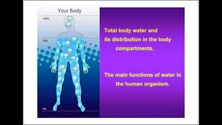 Water distribution regulation and disturbances in the body  by Dr Anum Minal [upl. by Ennaeirb100]